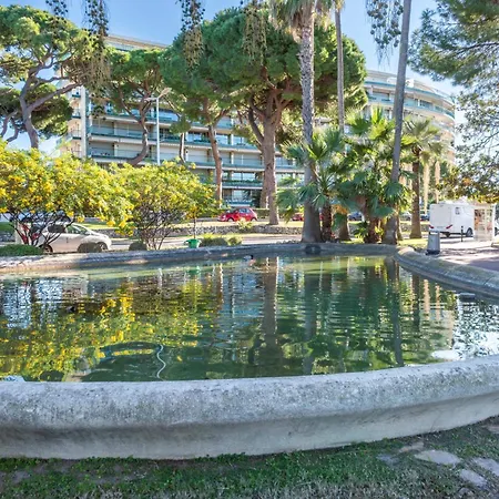 Palm In A Peaceful Setting Apartment